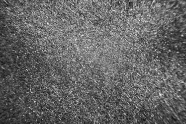 Similar image 13119383