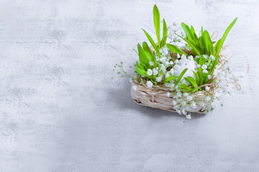 Similar image 13116161