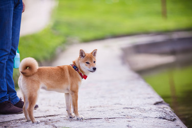 Similar image 13116166