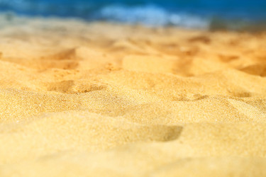 Similar image 13116549