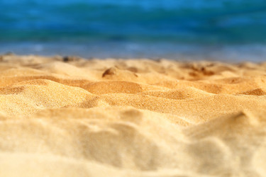 Similar image 13116551