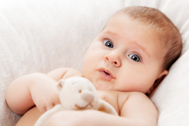 Similar image 13117670