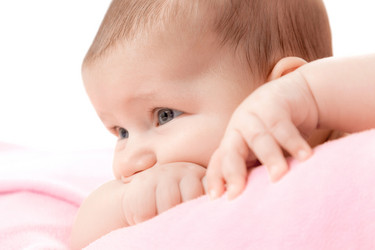 Similar image 13117701