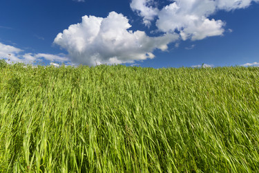 Similar image 13120704