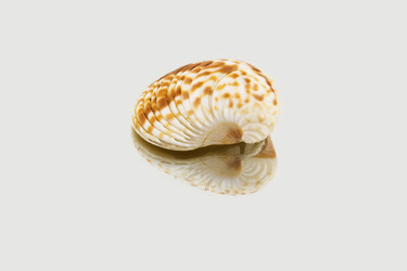 Similar image 13117013