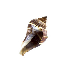 Similar image 13116994