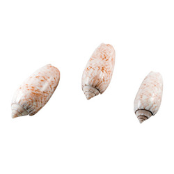 Similar image 13116997