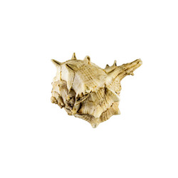 Similar image 13116999