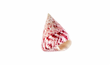 Similar image 13117004