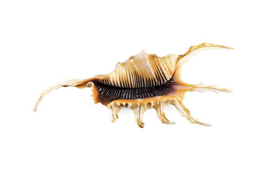 Similar image 13117009