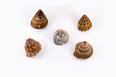 Similar image 13117010