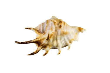 Similar image 13117032