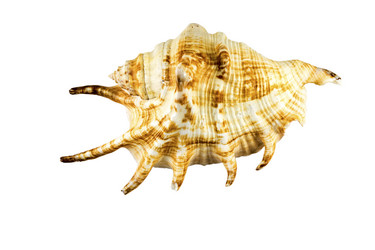 Similar image 13117034