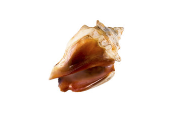 Similar image 13117036