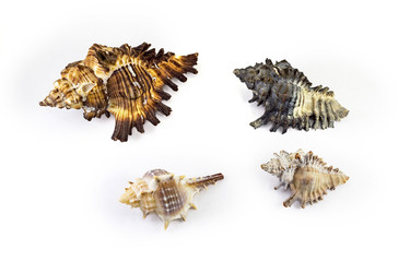 Similar image 13117037