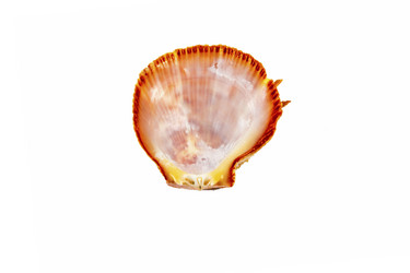 Similar image 13117038