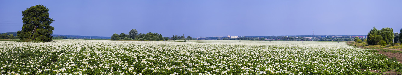 Similar image 13117301