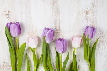 Similar image 13117327