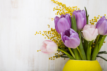 Similar image 13117206