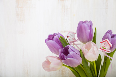 Similar image 13117215