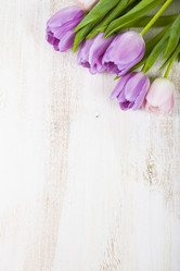 Similar image 13117284