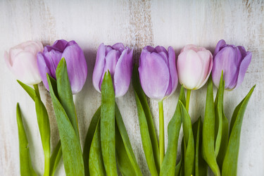 Similar image 13117285