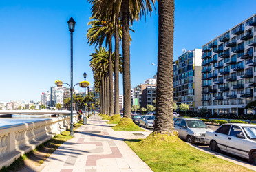 Similar image 13125936