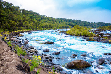 Similar image 13125961