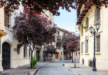 Similar image 13125971