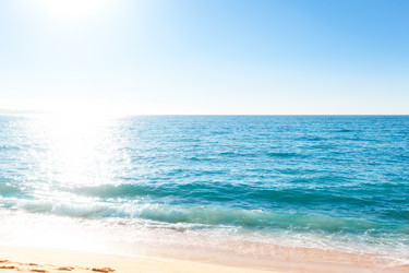 Similar image 13125973