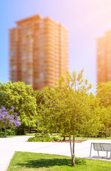 Similar image 13125979