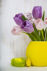 Similar image 13117311