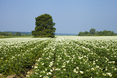 Similar image 13120808