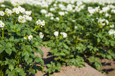 Similar image 13120809