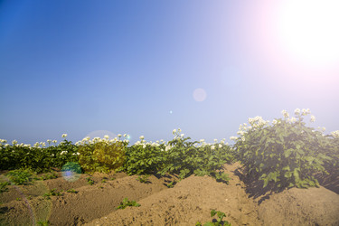 Similar image 13120826