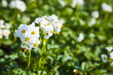 Similar image 13120829