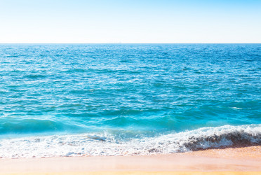 Similar image 13125997