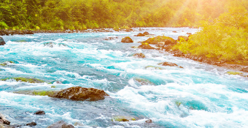 Similar image 13119662