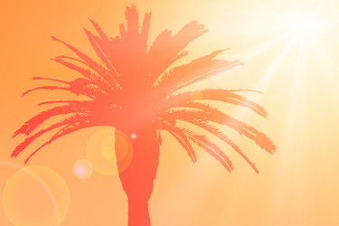 Similar image 13119664