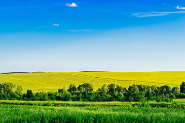 Similar image 13127979