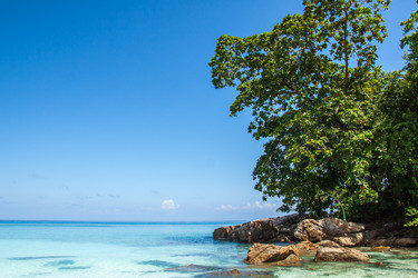 Similar image 13124098