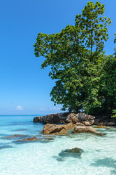 Similar image 13124099