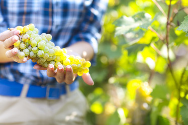 Similar image 13121858