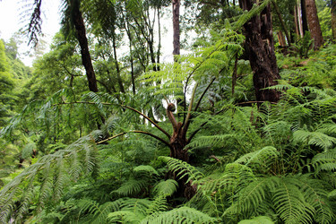 Similar image 13116470