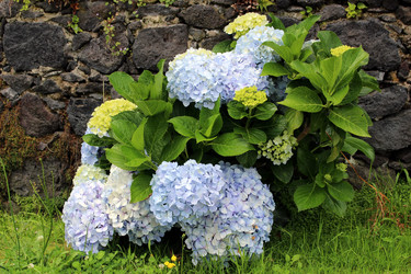 Similar image 13116466