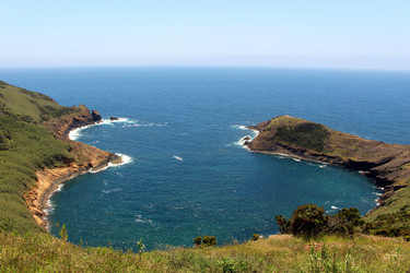 Similar image 13116469