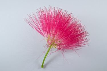 Similar image 13145155