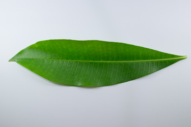 Similar image 13145156