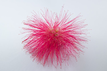 Similar image 13145157