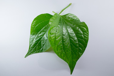 Similar image 13145158